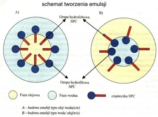 Mechanizm prania chemia: jak detergenty skutecznie usuwają brud